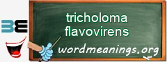 WordMeaning blackboard for tricholoma flavovirens